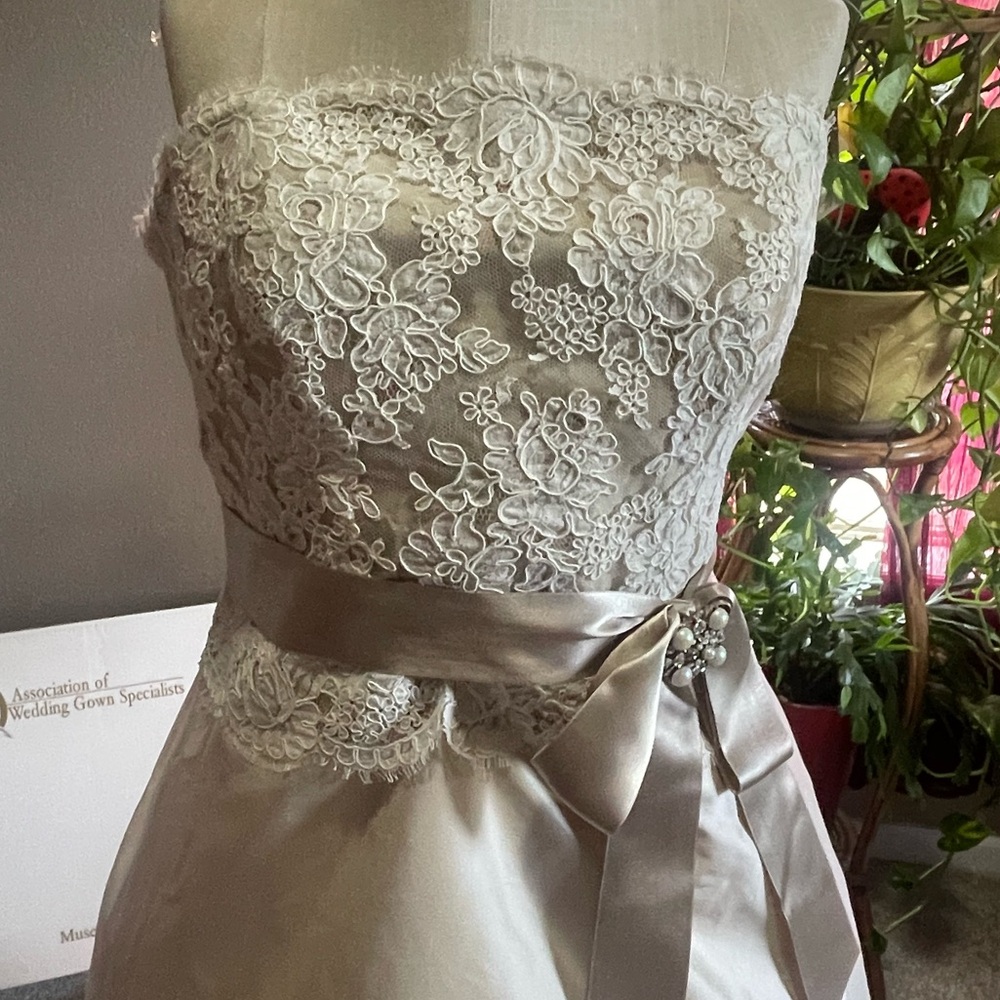 Paloma Blanca Cream wedding gown